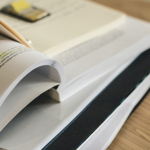 What Is a Synonym?