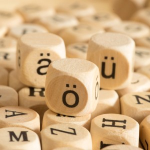 How Many Languages Are Officially Spoken in India?