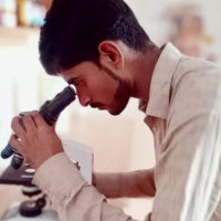 Tutor - Amanat A.
